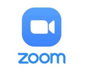 国内Zoom平台与其发展与应用
