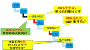 药效1v2h：卓越表现的关键所在