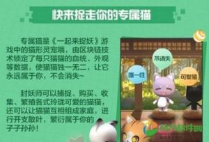 起来捉妖，养猫攻略