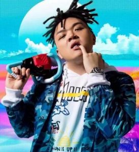 十八岁rapper潮水欢迎您：震撼来袭：探索巨大冲击的核心