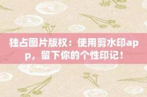夜间禁用18款软件APP功能的详细解析-进行深入剖析