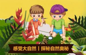 大地资源三在线观看：探索地球奥秘的窗口