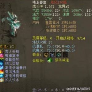《大话西游》手游高级技能：全面解析吉人天相图鉴效果