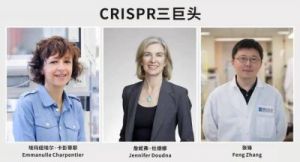 全球五大巨头的爱恨纠葛