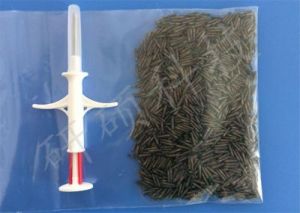 宠物潜能芯片的最大装配数量是多少？