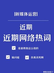 收集JY系统：是否正是你在寻找的网络热词？