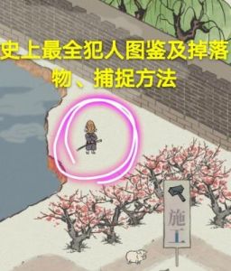 江南百景图：揭秘犯罪类型盘点