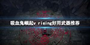 怎样使用vrising灵魂碎片及其用途