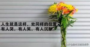 女人被深耕是好事还是恶性：探讨女性身体自主权问题：为平等与尊严而战