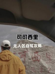 无人区码一码二码三码ww：探索未知的神秘领域