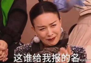 转发这个那英什么梗？转发这个那英表情包
