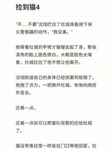 猫之城风暴挑战刷新时间及重置规则解析