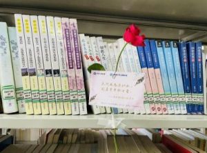 图书馆的女朋友：一段书香中的浪漫邂逅