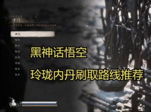 黑神话悟空：玲珑内丹如何搭配？前期了解的策略