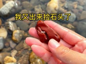 石头游戏：懒惰的石头，探索轻松有趣的休闲玩法