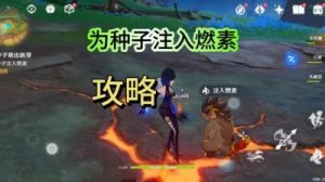 原神：待种子萌出新芽任务详解