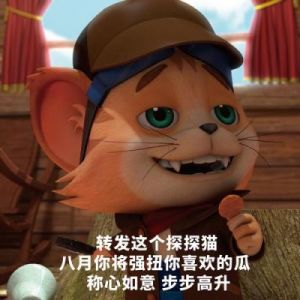 《探探猫大作战》幻武系统的全面介绍