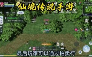 仙境传说新航程能否实现搬砖功能