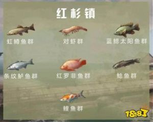 明日之后鸡鱼在哪里钓？鸡鱼刷新位置及时间介绍