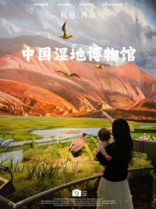 探索伊洛纳博物馆的参观途径