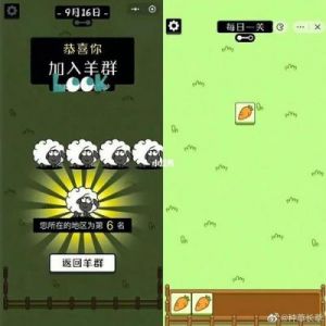 羊了个羊2024年9月12日通关攻略