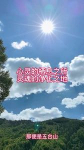 探索广袤世界，心灵交融，变革血流——玩法攻略