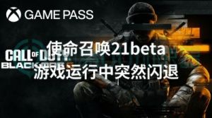 《使命召唤》：探索游戏中的数据缓存机制