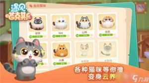 喵星猎人兑换码全集
