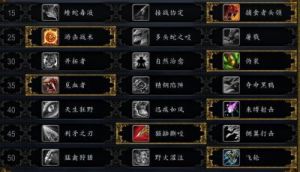 《魔兽世界》9.0版本：大米词缀风雷效果全面解析