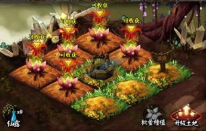 神仙道果园开放等级探秘