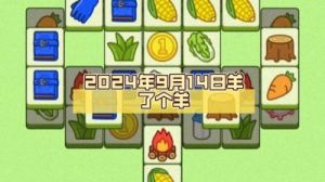 羊了个羊2024年9月22日通关攻略