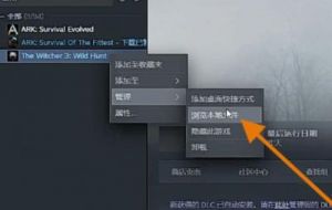 巫师3控制台开启方法图文教程-如何开启控制台