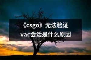 CSGO无法验证VAC会话的可能原因是什么？