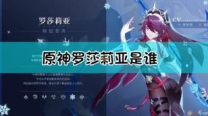 原神罗莎莉亚角色介绍修改后原神中的罗莎莉亚角色介绍