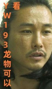 yw193龙物失联：事件细节及后续追踪