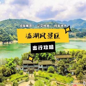 伊丁天堂暗夜精灵攻略大全：全方位指南