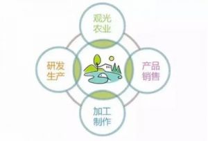 一二三产区饱含广阔发展前景