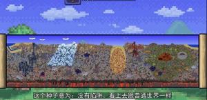 泰拉瑞亚官方彩蛋地图种子