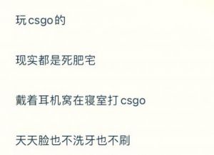 暴躁老阿姨CSGO经典片段：怒怼对手，超级燃！
