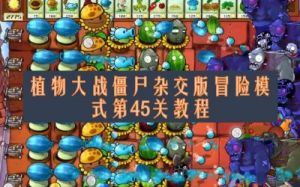 植物大战僵尸幼儿园版冒险模式通关攻略