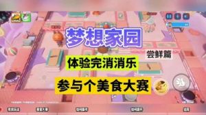联机玩法介绍：梦想家园的多人模式如何体验