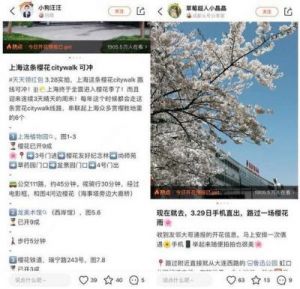 大众点评查看笔记数据方法