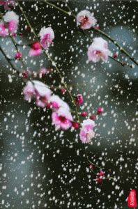模拟城市中的市长，迎接大雪节气时建造冬季建筑