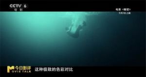 未来人生探险解密：最新答案大全