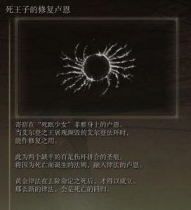 艾尔登法环：大卢恩用法及解锁地点一览，大卢恩怎么装备