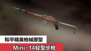 绝地求生：Mini14图鉴详解