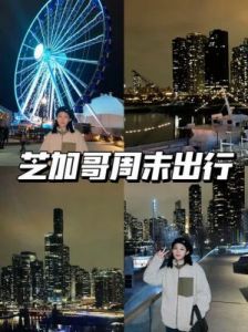 《芝加哥计划》：深入剖析与对世界和平的热切呼唤