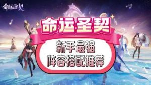 命运圣契四柱试炼阵容搭配与玩法