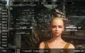 《上古卷轴5：天际》快速捏脸方法及数据介绍