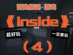 Inside图文攻略：全收集解谜流程详解